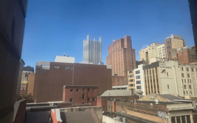 2BR 2BA Downtown Apt | Natural Light + Views - Picture 10