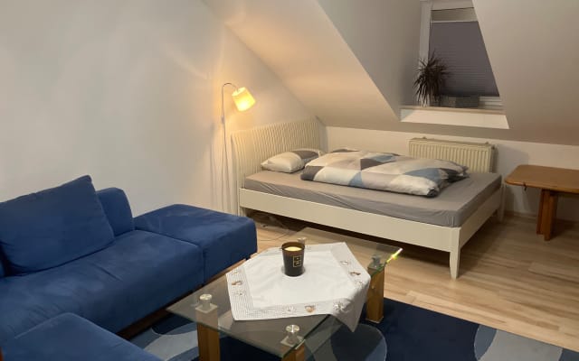 Ofrezco una bonita habitación en una casa de campo.