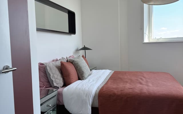 Modern apartment in Brixton. Double room with private bathroom  - Picture 3