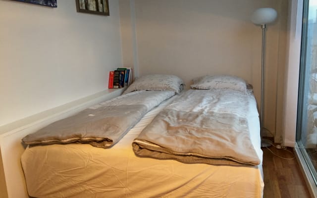 Room in extraordinary apartment + balcony & terrace