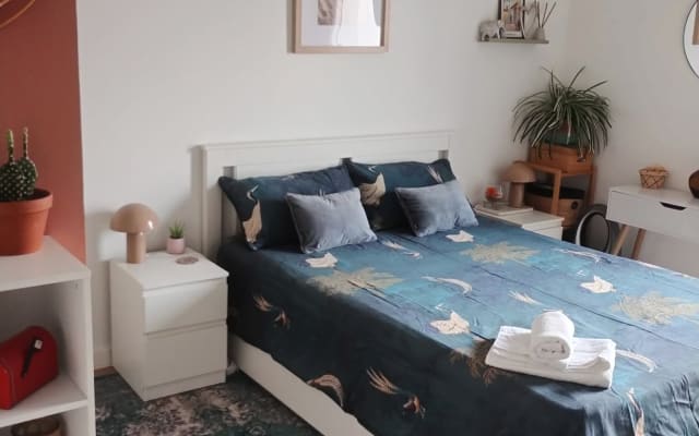 Private room in a beautiful apartment near the city center