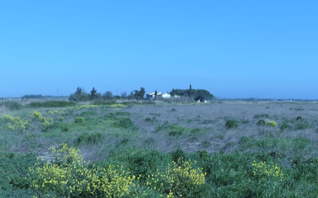 Bed and breakfast (with a pool...) in a Camargue farmhouse, 10 minutes