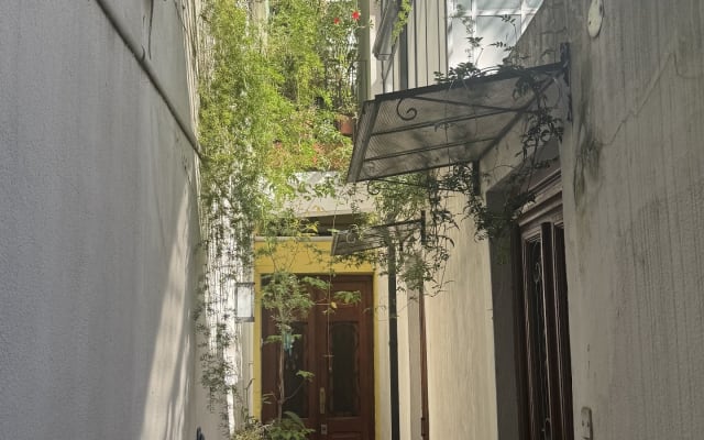 ArmeniaColiving | Room in my urban oasis | Palermo