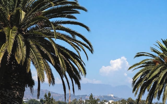 Trendiges Studio im Herzen von West Hollywood
