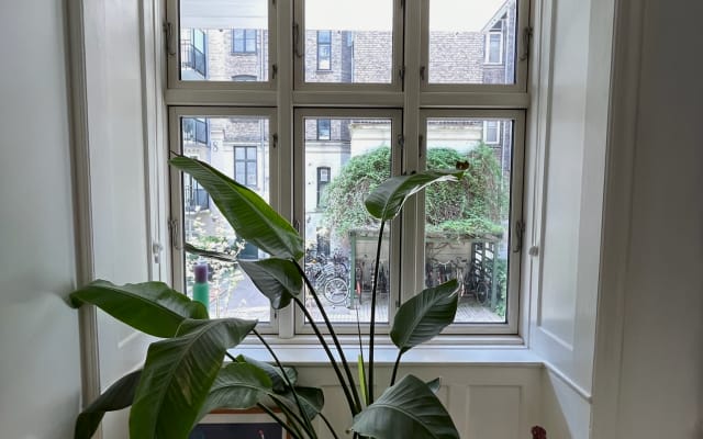 Private Room & Bathroom in Central Copenhagen
