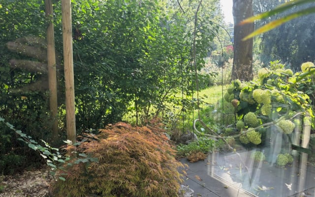 Bellissimo appartamento al piano terra situato ad Amsterdam Zuid