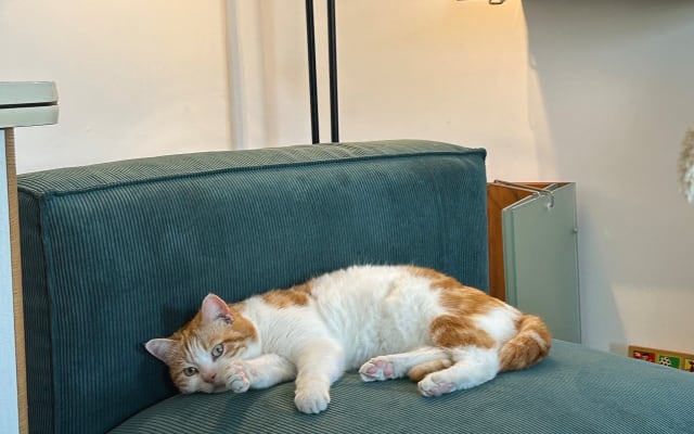 Churchill, Lille - living room, sofa bed for 2 people