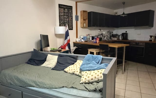 Beautiful 50-square-meter one-bedroom apartment within walking distance of the train station and the Capitole. - Picture 6