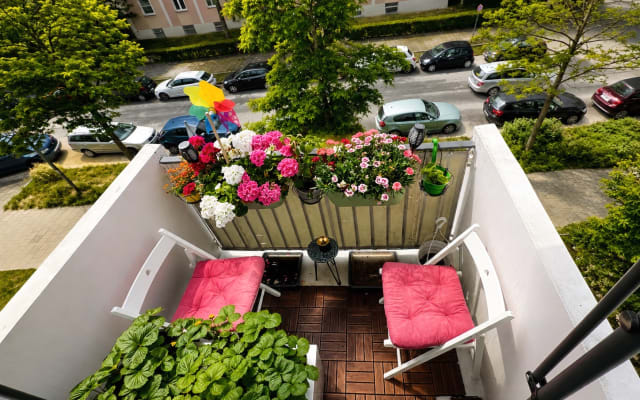 Adis's listing on misterb&b - 
Balcony, Living Room