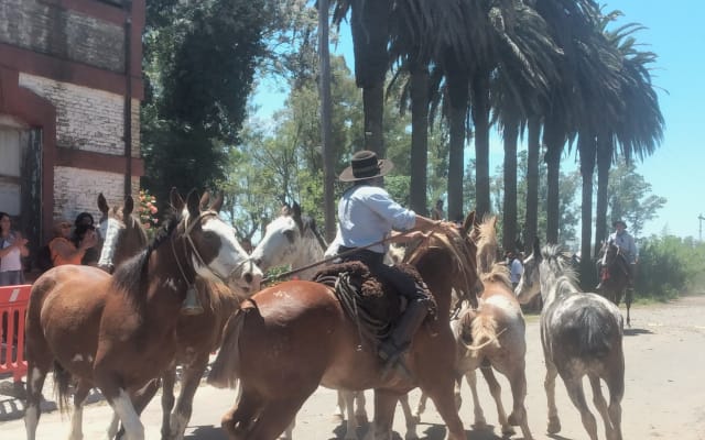 5 "Alpine" Cottages at the Former "Los Aromos" Ranch: Tradition...