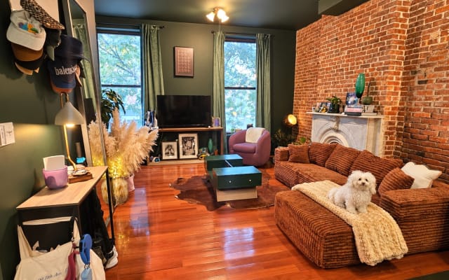 Super Cozy Apartment with a cute host and dog