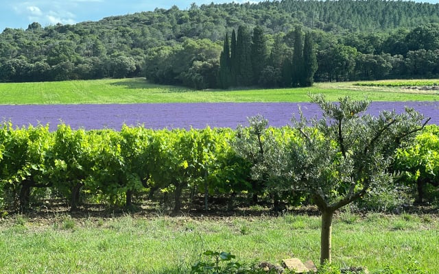 Maison d'hôtes de charme en Provence & Table d'hôtes
Massages et yoga