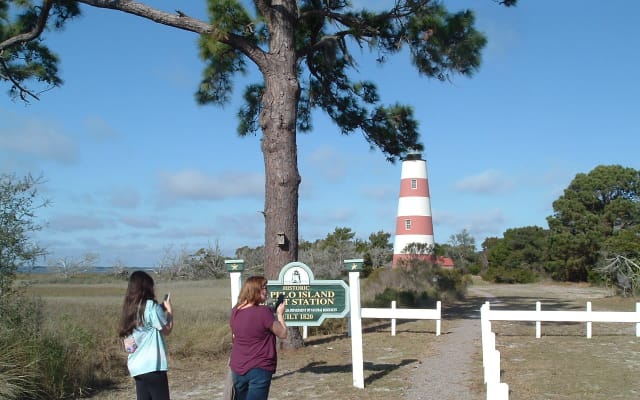 Half Day Sapelo Island Tour