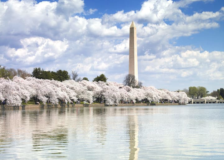 Washington DC Gay District: Dupont Circle