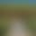 Ben