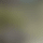 Sen