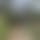 Danilo