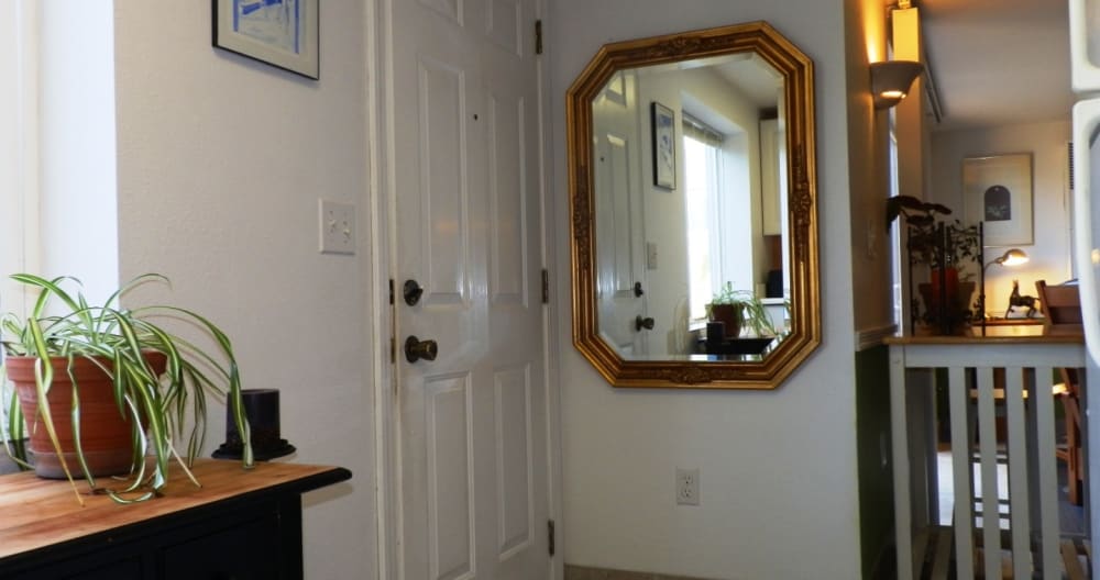 Ron's listing on misterb&b - h******** c0118ef113e18947c******** fc1ee7fd56301