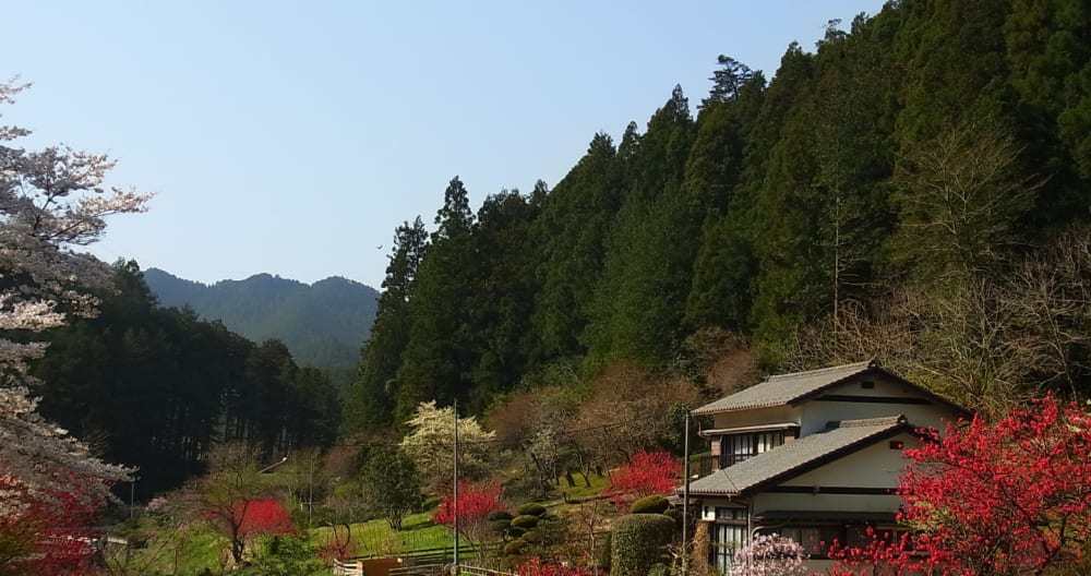 A Mountain Retreat - Picture 1