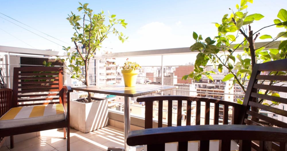 Lemon Tree One Bedroom - Foto 13