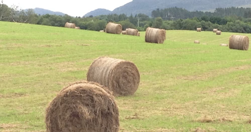 Central location for Ring of Kerry, Dingle and Killarney - Foto 27