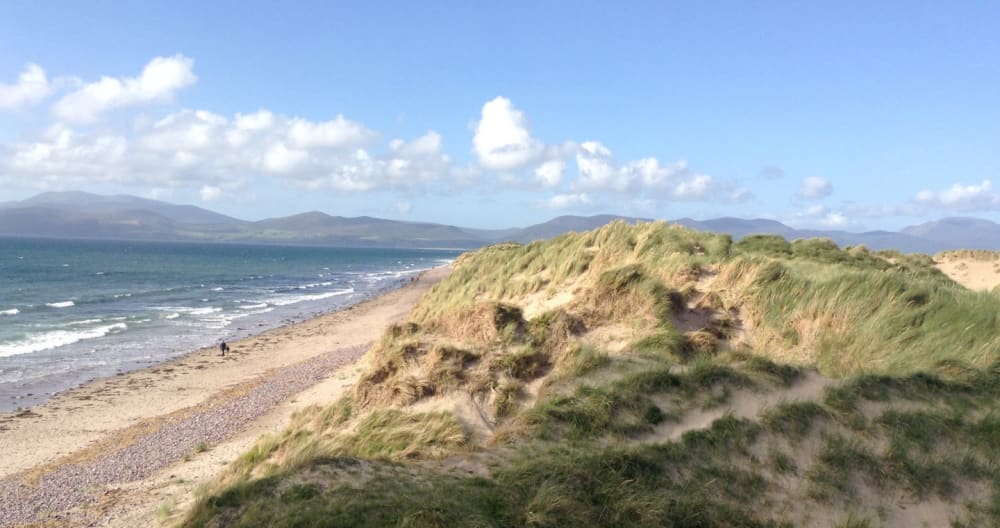 Central location for Ring of Kerry, Dingle and Killarney - Foto 31