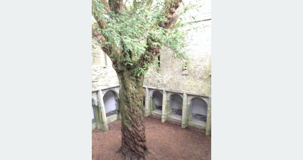 Central location for Ring of Kerry, Dingle and Killarney - Foto 26