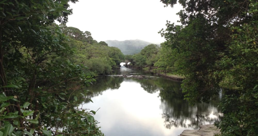 Central location for Ring of Kerry, Dingle and Killarney - Foto 28