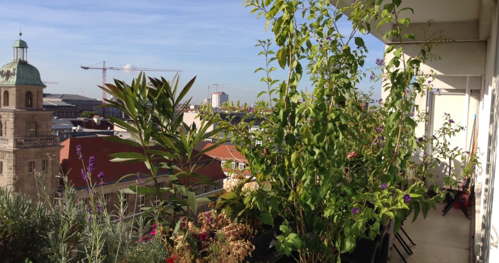 In Heart of Berlin with a amazing view - Picture 5