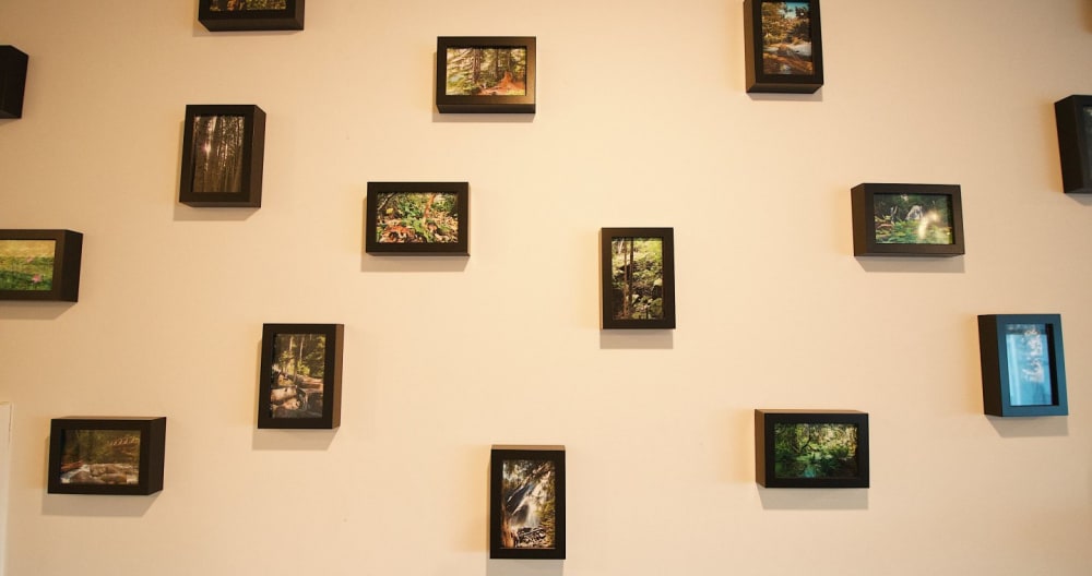 Urban Forest Studio - Foto 18