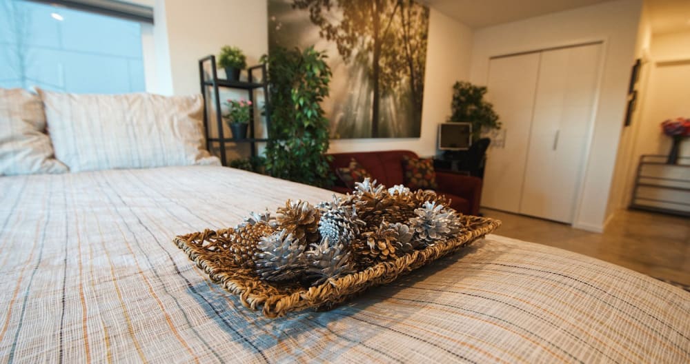 Urban Forest Studio - Foto 1