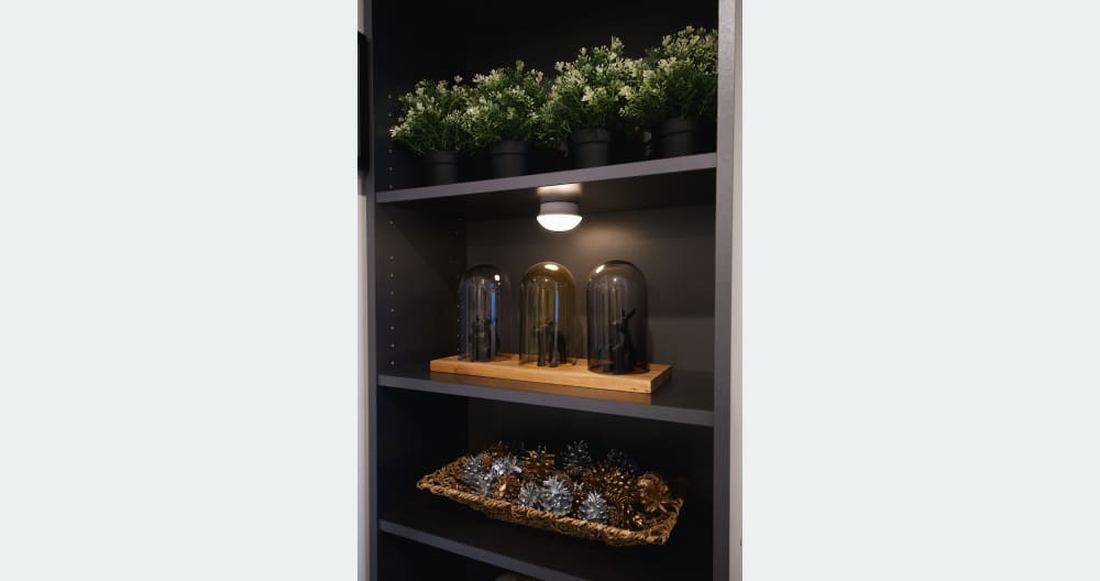 Urban Forest Studio - Foto 19