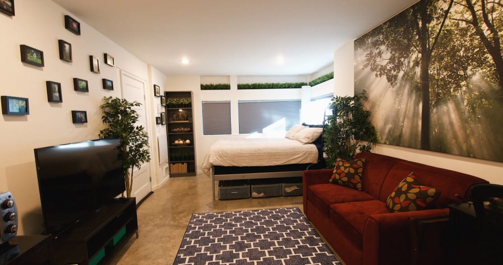 Urban Forest Studio - Foto 12