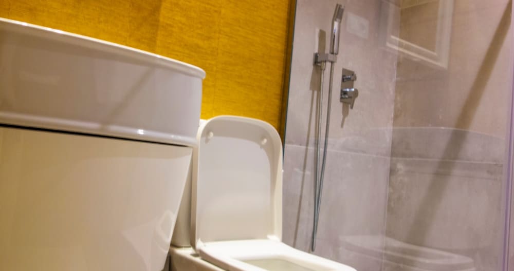 BEAUTIFUL ROOM WITH PRIVATE BATH IN MALASAÑA - Picture 7