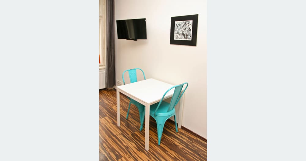 One bedroom apartment 5 minutes walk to gay area. - Picture 22