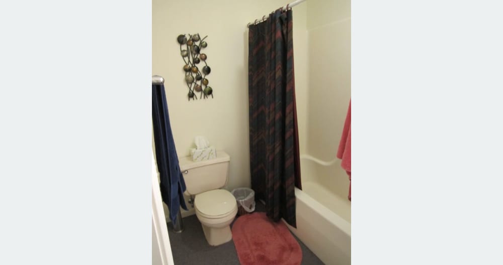Basement bedroom with full bath - Picture 5