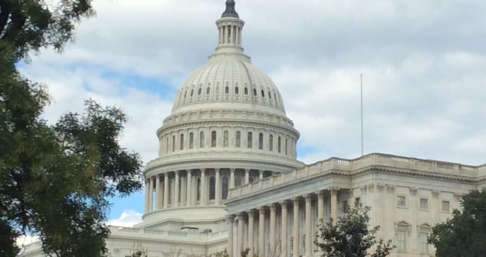 US Capitol Private Entrance, Large Bedroom, & More - Picture 15