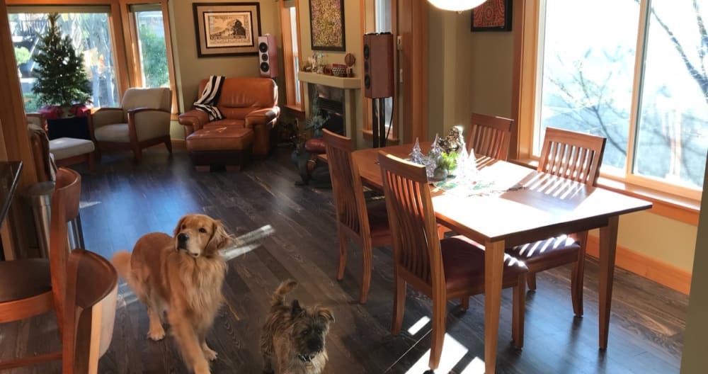 The Fur Den - Luxuszimmer mit Bad für Hundeliebhaber (West Seattle) - Foto 19