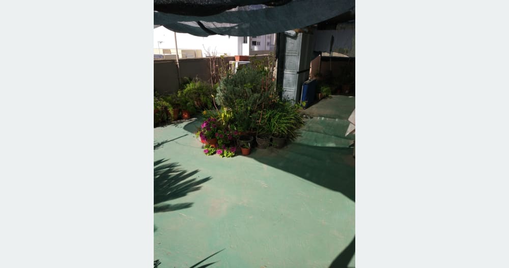 A room next to a roof garden - Picture 8