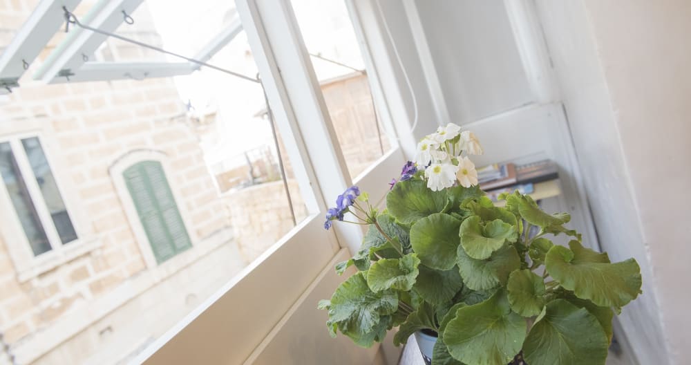 Lloyd House Valletta, The Studio - Foto 2