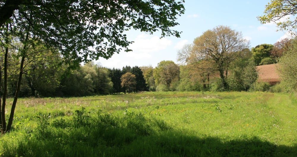 Gîte en pleine nature - Foto 10