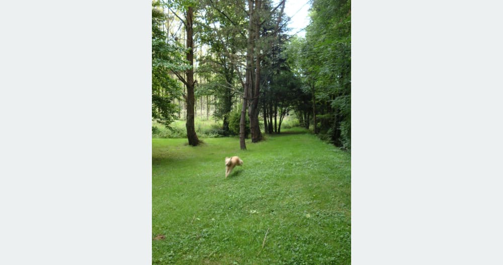 Gîte en pleine nature - Foto 11