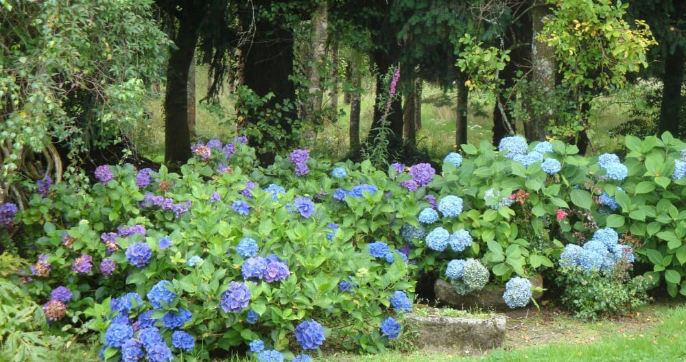 Gîte en pleine nature - Foto 13