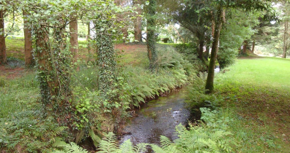 Gîte en pleine nature - Foto 15