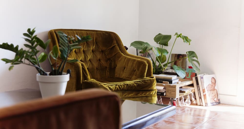 Minha casa é sua casa - Foto 1