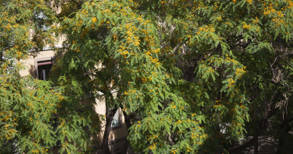 Minha casa é sua casa - Foto 12