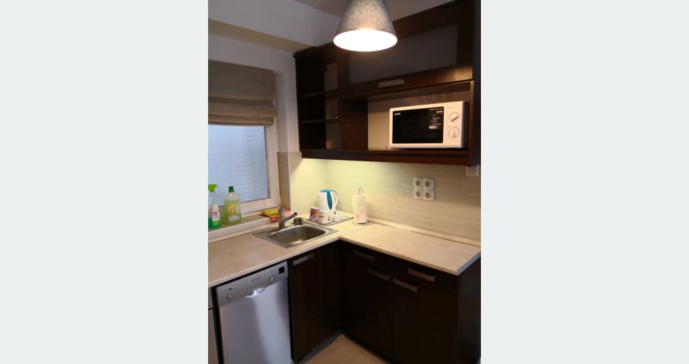 1,5 room apartment with terrace,near the park,near the Széchenyi Bath - Foto 16