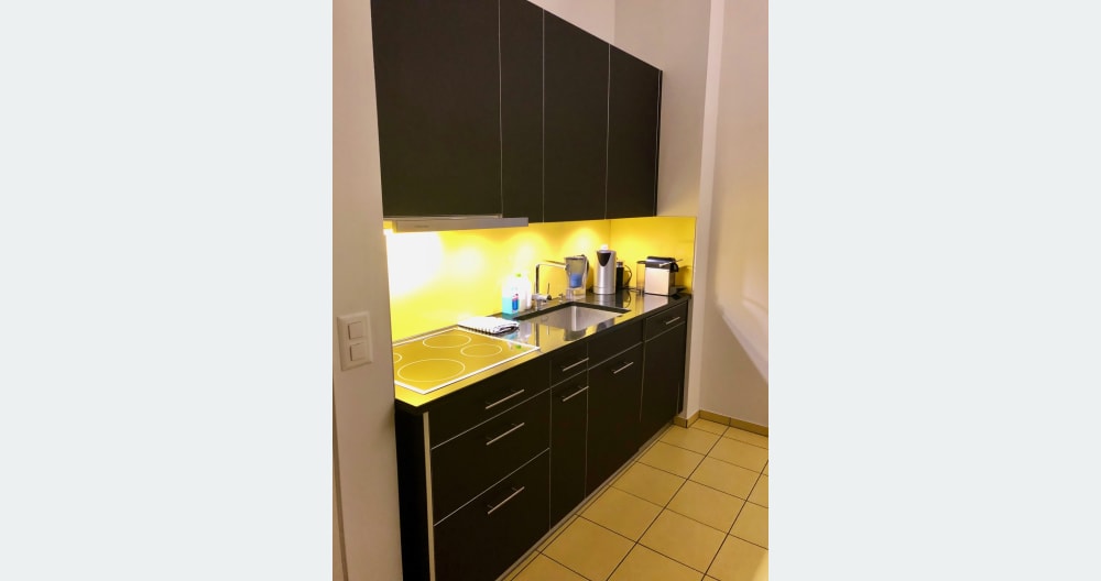Habitación en un hermoso y tranquilo apartamento con jardín en la moderna Zürich Seefeld - Foto 15