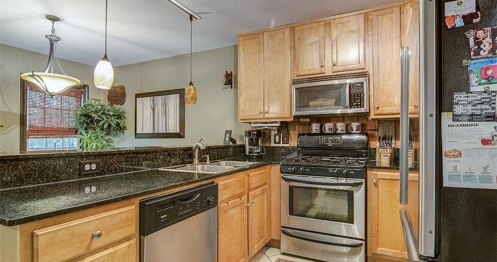 Piedmont Park Suite in Midtown, Atlanta, GA . - Picture 9