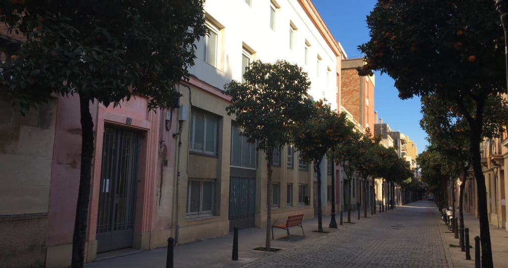 Habitación propia con terraza en Barcelona (Sant Andreu). - Foto 18